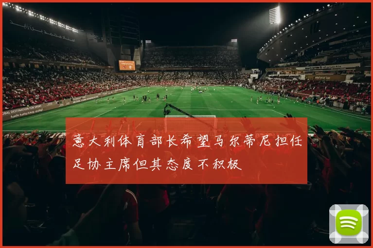 意大利体育部长希望马尔蒂尼担任足协主席但其态度不积极