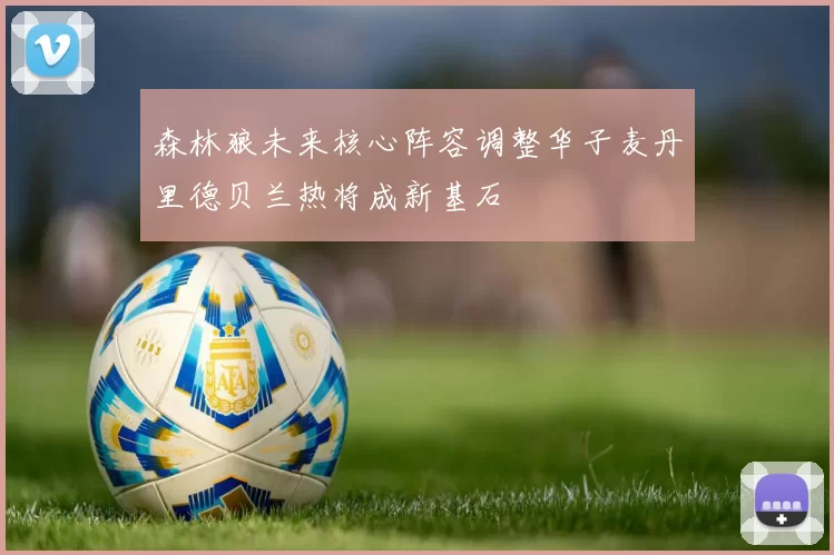 森林狼未来核心阵容调整华子麦丹里德贝兰热将成新基石